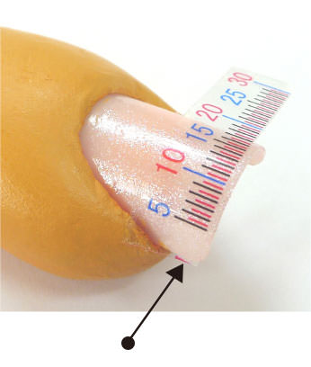 Set the end of the measure sticker accurately to the side of your nail